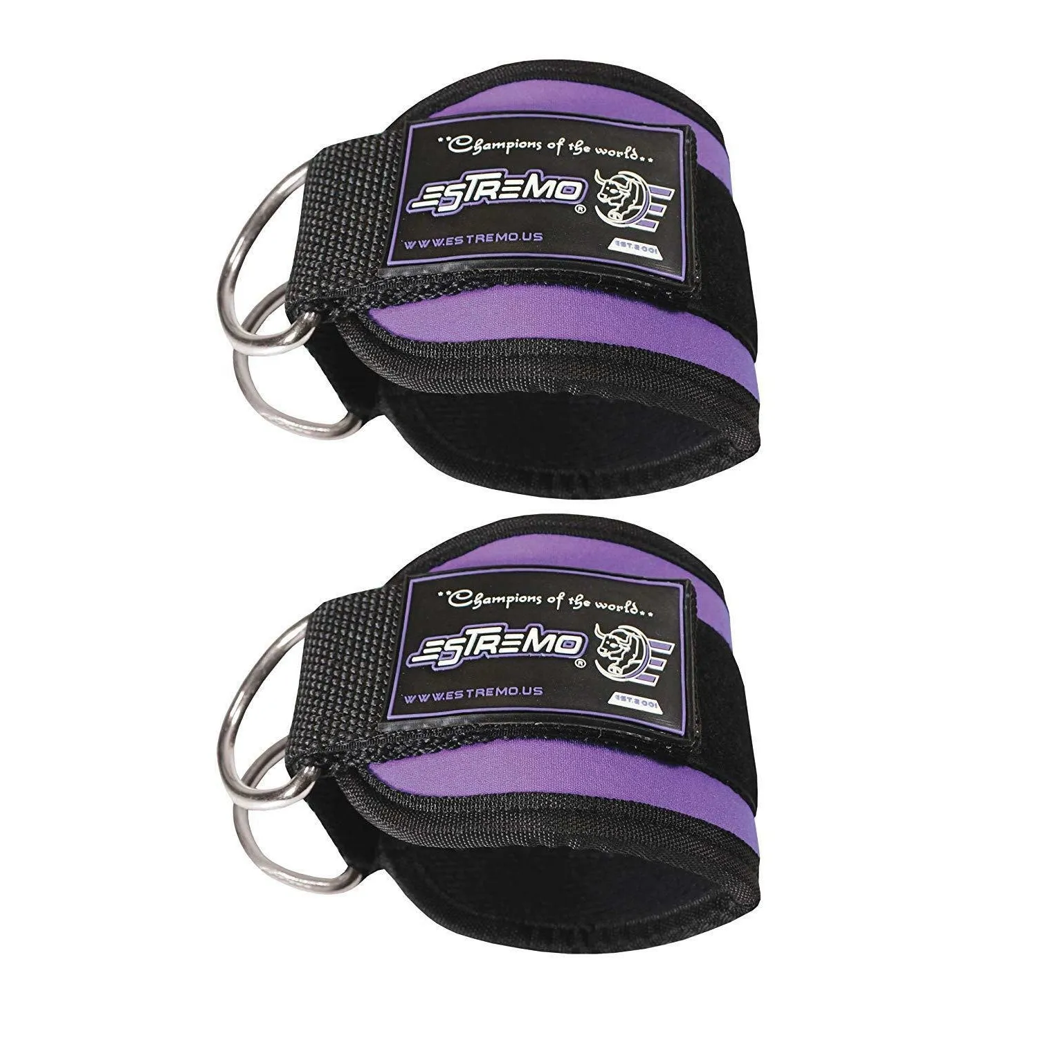 Ankle Straps for Cable Machine - Purple