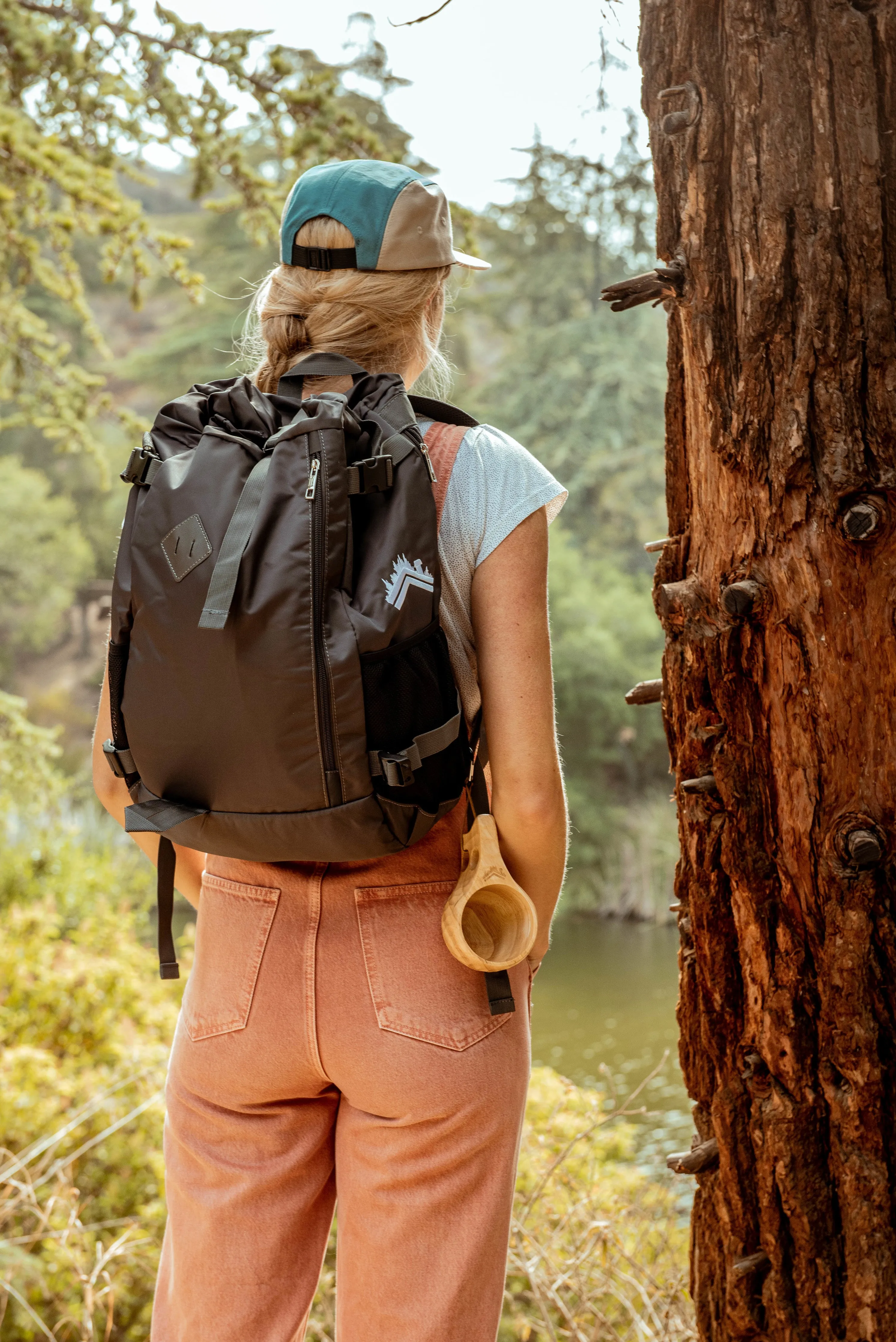 Daytrip 20 L Rolltop Backpack