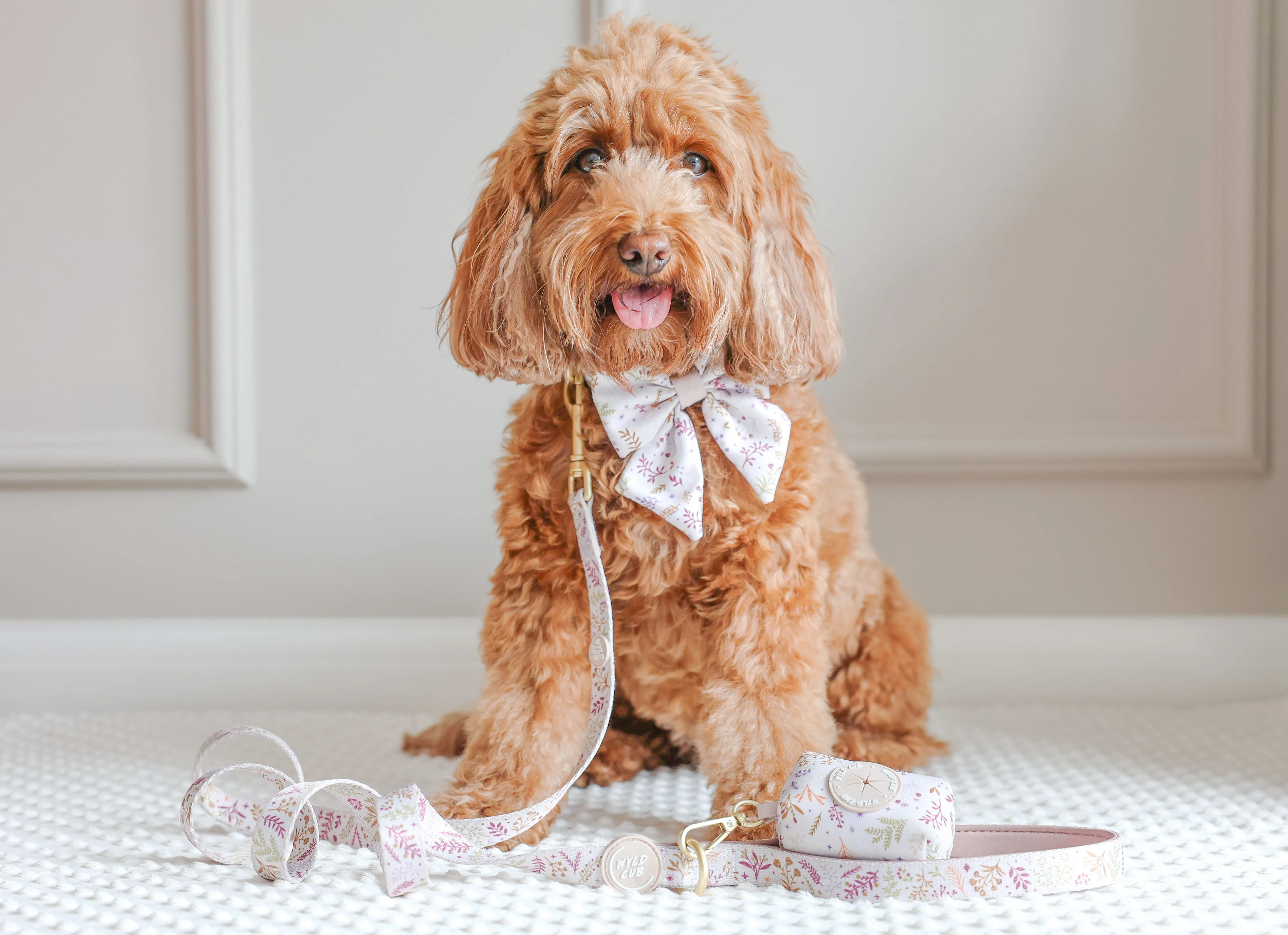 Dog Poop Bag Holder: Chiswick Oyster
