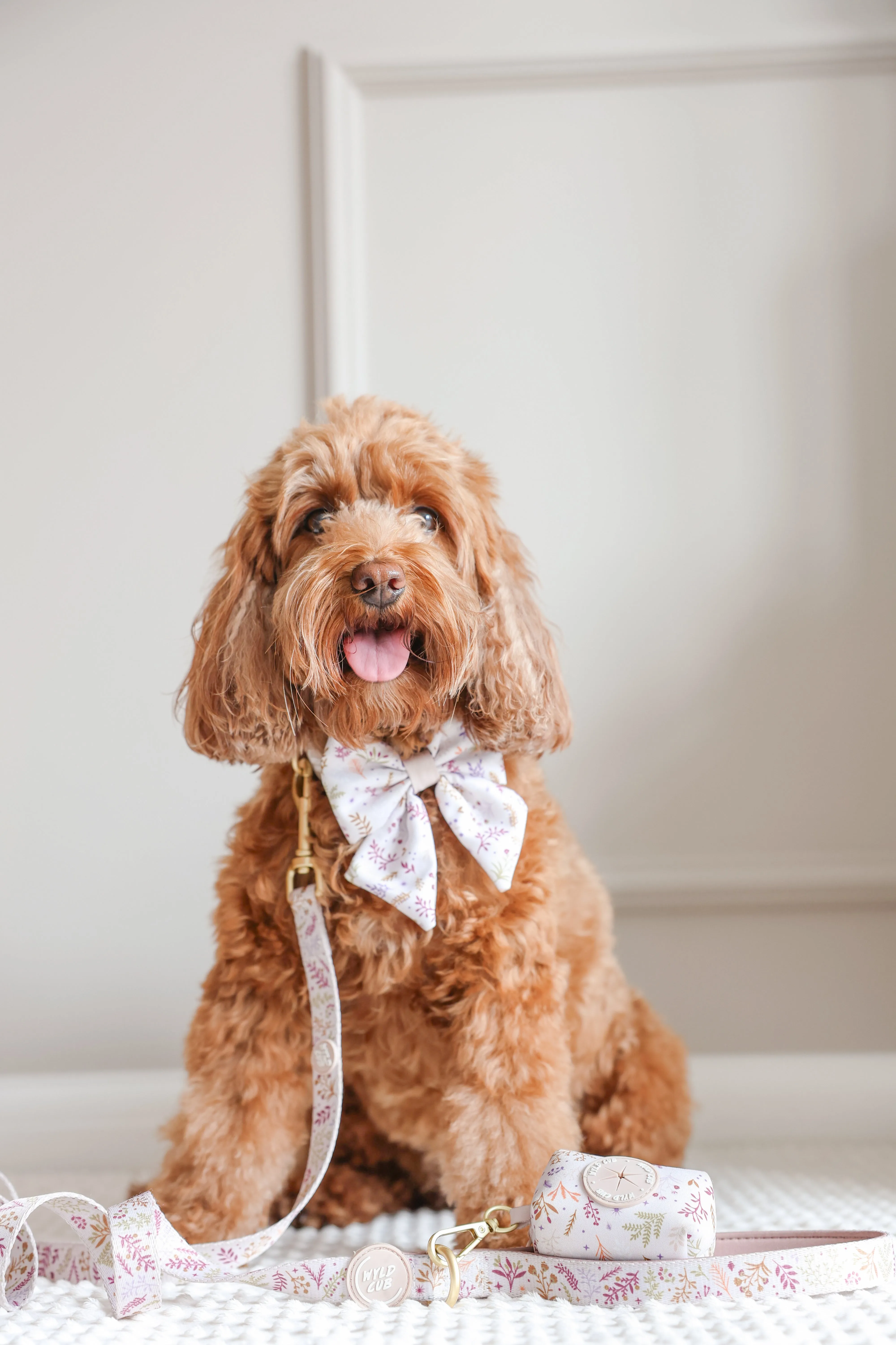 Dog Poop Bag Holder: Chiswick Oyster