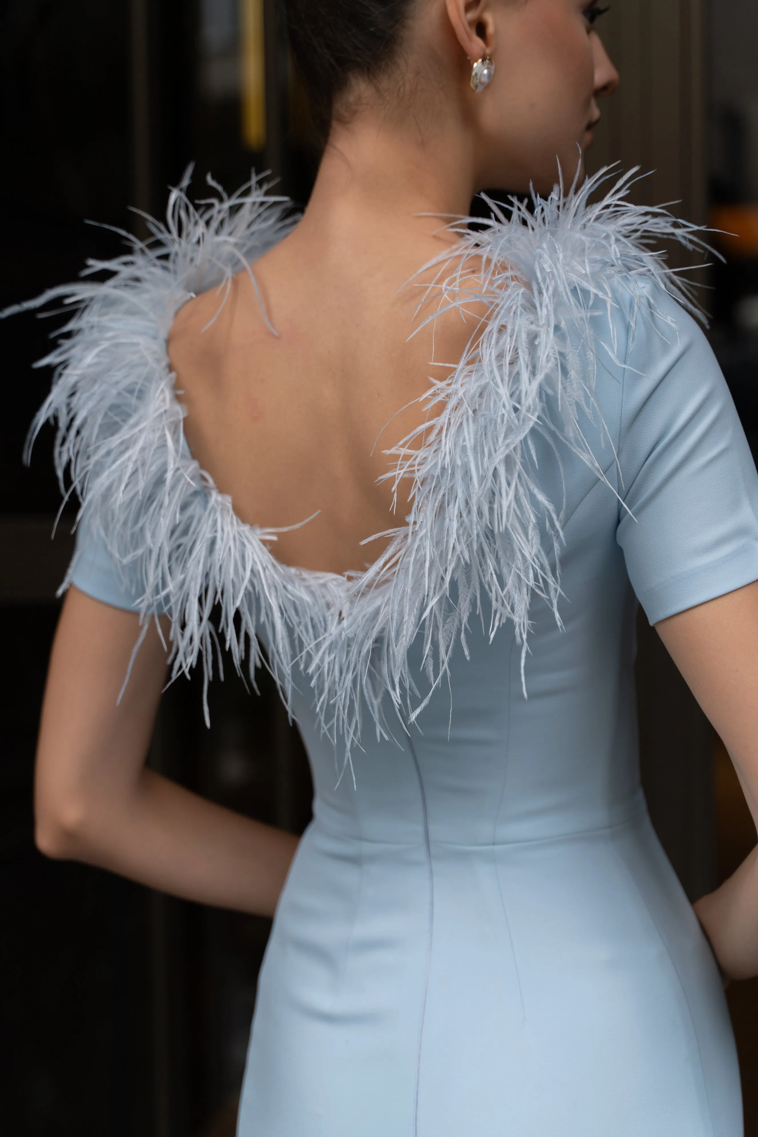 Gloria ostrich feather column gown