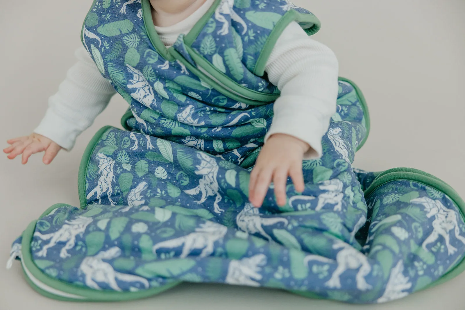Sleep Bag - Jurassic Park