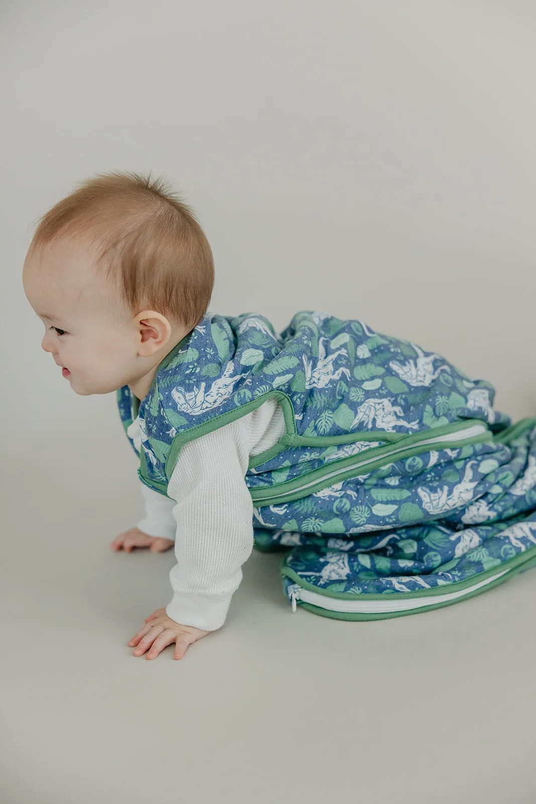 Sleep Bag - Jurassic Park