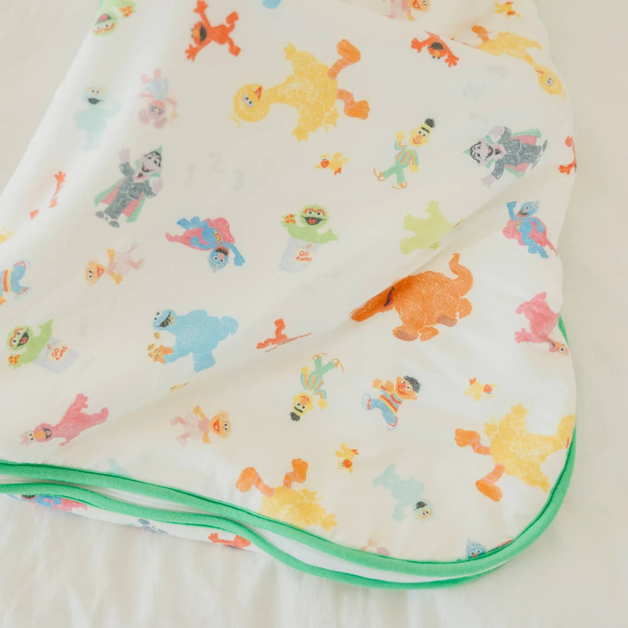 Sleep Bag - Sesame Friends